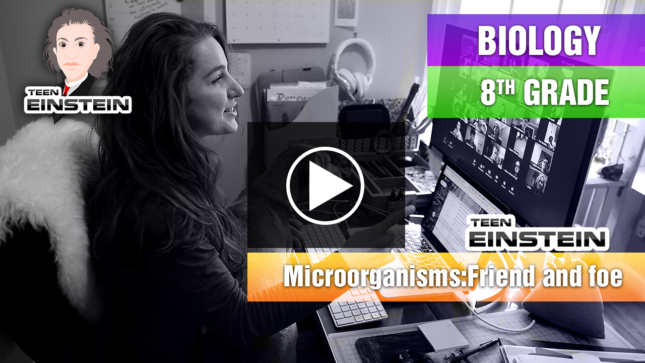 Microorganisms Friend and Foe Nitrogen Fixation, Nitrogen Cycle